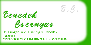 benedek csernyus business card